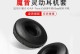 揭开以魔音DNA的神秘面纱（探索音乐与基因的奇妙交织，以魔音DNA的未来前景和挑战）