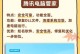 电脑DLL文件错误的原因及解决方法（探寻电脑DLL文件错误的根源，教你轻松解决问题）
