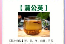 蒲公英的用途和作用（探索蒲公英的神奇力量）