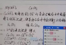 电脑阅卷与分会存在的错误问题（高效性与公正性之间的困境及解决方案）