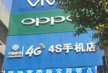 解决电脑显示114网络错误的方法（怎样处理114网络错误及其解决方案）