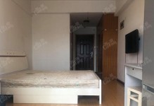 天下房仓企业（颠覆传统房产经纪，构建便捷高效的房屋租赁生态圈）