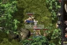 老毛桃的种植与养护技巧（原版教程详解，让您轻松掌握）